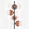 Ripoll Lampada da terra Chiaro, Ramato, 4-Luci