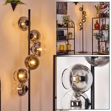 Koyoto Lampada da terra 31 cm Cromo, Chiaro, Grigio fumo, 6-Luci