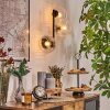 Koyoto Lampada a sfera, Applique Chiaro, 3-Luci