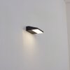 Xaden Lampada da parete per esterno, Applique LED Nero, 1-Luce