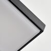 Xaden Lampada da parete per esterno, Applique LED Nero, 1-Luce