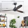 Mosstena Lampada con ventilatore Legno scuro, Nero, Telecomando