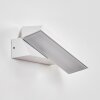 Xaden Lampada da parete per esterno, Applique LED Bianco, 1-Luce