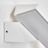 Xaden Lampada da parete per esterno, Applique LED Bianco, 1-Luce