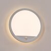 Qadir Lampada da parete per esterno, Applique LED Bianco, 1-Luce, Sensori di movimento