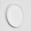 Qadir Lampada da parete per esterno, Applique LED Bianco, 1-Luce