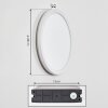 Qadir Lampada da parete per esterno, Applique LED Bianco, 1-Luce