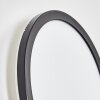 Qadir Lampada da parete per esterno, Applique LED Nero, 1-Luce, Sensori di movimento