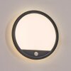 Qadir Lampada da parete per esterno, Applique LED Nero, 1-Luce, Sensori di movimento
