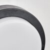 Jelad Lampada da parete per esterno, Applique LED Nero, 1-Luce, Sensori di movimento