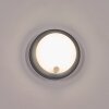 Jelad Lampada da parete per esterno, Applique LED Nero, 1-Luce, Sensori di movimento