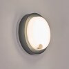 Jelad Lampada da parete per esterno, Applique LED Nero, 1-Luce, Sensori di movimento