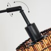 Cando Lampada da terra Nero, 3-Luci