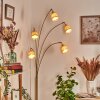 Lindberg Lampada da terra Ottone, Nero, 5-Luci