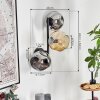 Ripoll Lampada a sfera, Applique Ambrato, Grigio fumo, 3-Luci