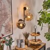 Ripoll Lampada a sfera, Applique Ambrato, Chiaro, Grigio fumo, 3-Luci