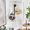 Ripoll Lampada a sfera, Applique Ambrato, Chiaro, Grigio fumo, 3-Luci