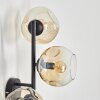 Ripoll Lampada a sfera, Applique Ambrato, Chiaro, 3-Luci