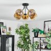 Koyoto Plafoniera, Lampada a sfera Oro, Chiaro, 5-Luci