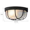 Illuminazione Steinhauer Lisanne Plafoniera Trasparente, 1-Luce