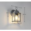Illuminazione Trio Leuchten MIRANDE Applique Antracite, 1-Luce