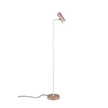 Illuminazione Trio Leuchten Marley Lampada da terra Marrone, 1-Luce