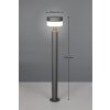 Illuminazione Trio Leuchten MACKENZIE Lampada da terra per esterno LED Antracite, 1-Luce