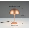 Illuminazione Trio Leuchten Nola Lampada da tavolo Marrone, 1-Luce