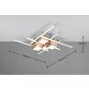 Illuminazione Trio Leuchten Roger Plafoniera LED Nichel opaco, 1-Luce, Telecomando