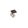 Illuminazione Trio Leuchten und Faretto da soffitto, Applique e plafoniera, Faretto da parete Marrone, 1-Luce