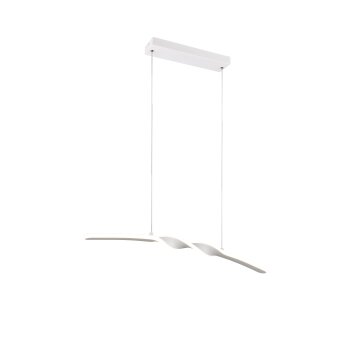 Illuminazione Reality Ginko Lampada a sospensione LED Bianco, 1-Luce