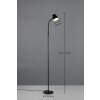 Illuminazione Reality Pongo Lampada da terra LED Nero, 1-Luce