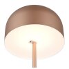 Illuminazione Reality Jeff Lampada da terra LED Marrone, 1-Luce