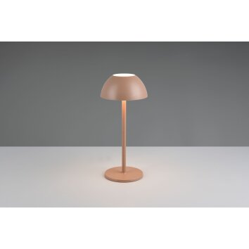 Illuminazione Reality Ricardo Lampada da tavolo LED Marrone, 1-Luce