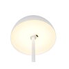 Illuminazione Reality Munoz Lampada da tavolo LED Bianco, 1-Luce