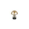 Illuminazione Reality Dooley Lampada da tavolo LED Marrone, Oro, 1-Luce