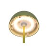 Illuminazione Reality Ortiz Lampada da tavolo LED Verde, 1-Luce