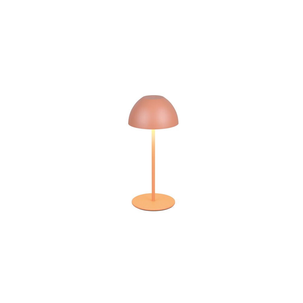 Illuminazione Reality Ortiz Lampada da tavolo LED Arancione, 1-Luce main product photo