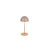 Illuminazione Reality Ortiz Lampada da tavolo LED Marrone, 1-Luce
