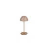 Illuminazione Reality Ortiz Lampada da tavolo LED Marrone, 1-Luce