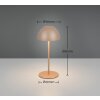 Illuminazione Reality Ortiz Lampada da tavolo LED Marrone, 1-Luce