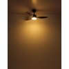 Illuminazione Globo Lighting Blackwell Lampada con ventilatore LED Nero, 1-Luce, Telecomando