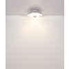 Illuminazione Globo Lighting Shelly Lampada con ventilatore LED Bianco, 1-Luce, Telecomando
