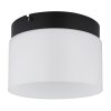 Illuminazione Globo Lighting Trenton Plafoniera LED Nero, 1-Luce