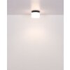 Illuminazione Globo Lighting Trenton Plafoniera LED Nero, 1-Luce