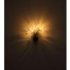 Illuminazione Globo Lighting Fiore Applique Nero, 2-Luci