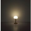 Lampada a forma di fungo  Illuminazione Globo Lighting Norman Lampada da tavolo LED Champagne, 1-Luce