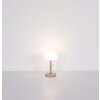 Lampada a forma di fungo  Illuminazione Globo Lighting Norman Lampada da tavolo LED Champagne, 1-Luce