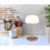 Lampada a forma di fungo  Illuminazione Globo Lighting Norman Lampada da tavolo LED Champagne, 1-Luce