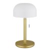 Illuminazione Globo Lighting Norman Lampada da tavolo LED Ottone, 1-Luce